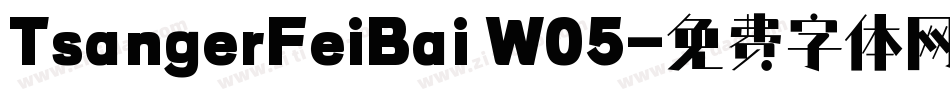 TsangerFeiBai W05字体转换